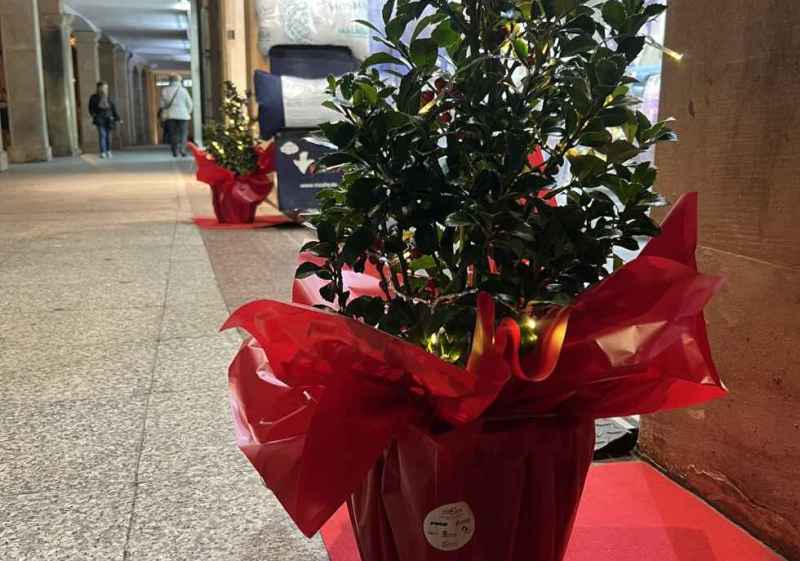 Más de un centenar de comercios sorianos estrenan decoración navideña de FEC Soria