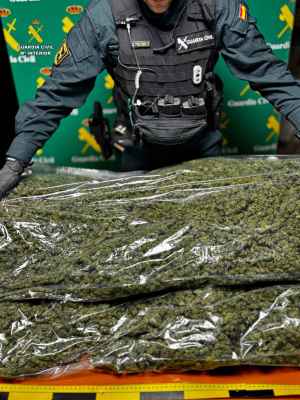 Detenido en Soria por transportar en turismo nueve kilógramos de cannabis 