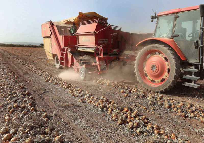 Alta ejecución de Programa de Desarrollo Rural (PDR) en Castilla y León 2014-2022