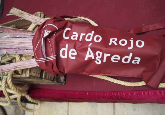 Ágreda hace balance de XVI edición de jornadas del cardo rojo