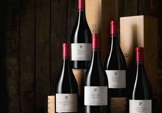 Dominio de Atauta pone a disposición su añada 2019 de la Colección Single Vineyards