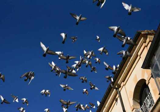 Estampas de la ciudad de Soria