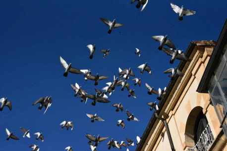 Estampas de la ciudad de Soria