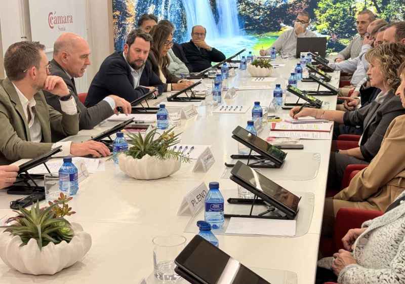 El viceconsejero de Economía explica a plenarios de Cámara las claves de próximos meses