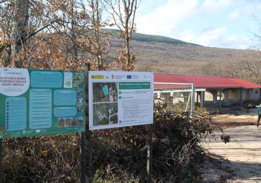 El Royo acoge jornada final de iniciativa pionera en bioeconomía circular forestal