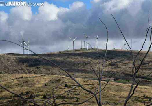 Motorista herido tras caerse en puerto de Oncala al esquivar un buitre