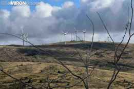 Motorista herido tras caerse en puerto de Oncala al esquivar un buitre