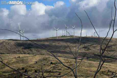Motorista herido tras caerse en puerto de Oncala al esquivar un buitre