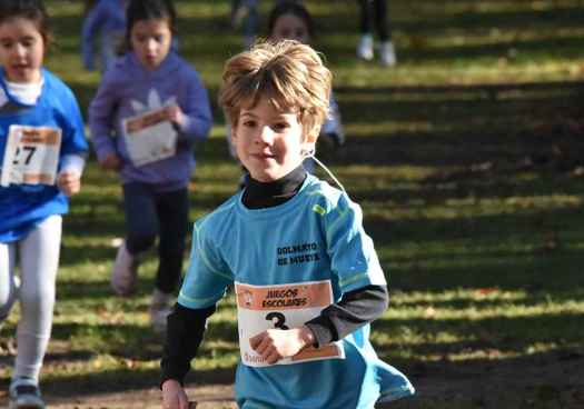 XII Cross de la Dehesa, de Soria (I)