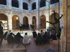 Estudiantes de Canet de Mar hacen prácticas de castellano en Medinaceli