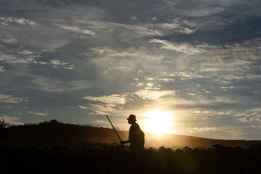 Jorge Sanz documenta la estela de los últimos trashumantes en Soria