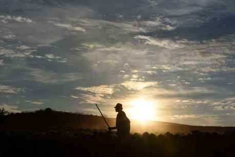 Jorge Sanz documenta la estela de los últimos trashumantes en Soria