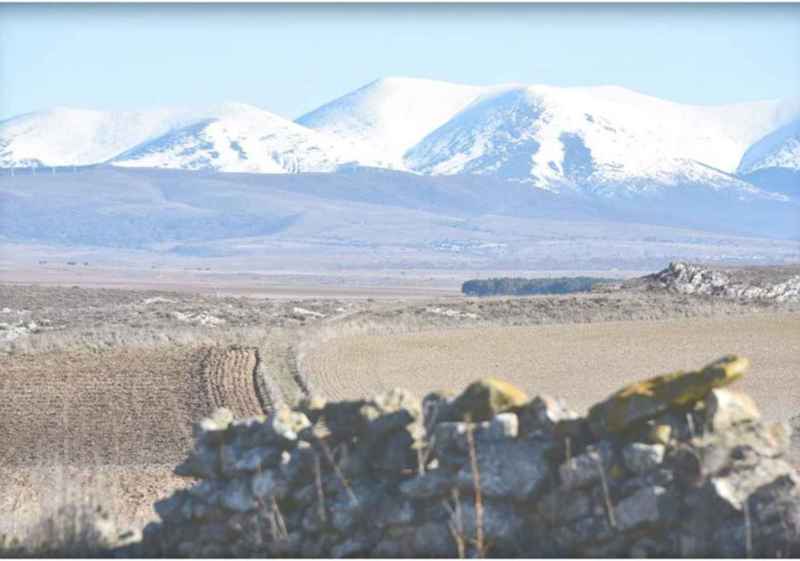 Soria felicita la Navidad 2025