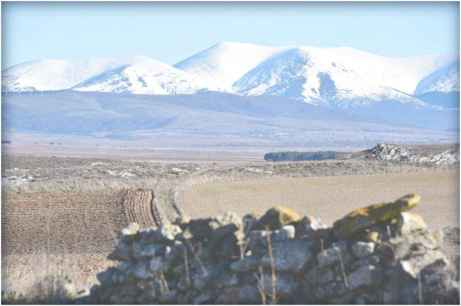 Soria felicita la Navidad 2025