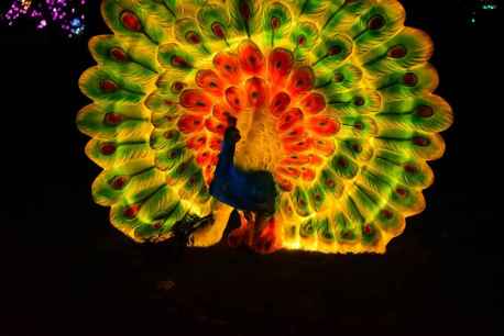 La Dehesa de Soria se viste de Navidad gracias al zoo de animales luminosos