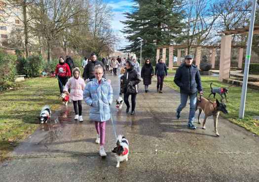 Tercera edición en Almazán del desfile más canino de la provincia