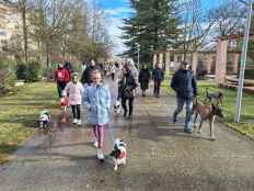 ercera edición en Almazán del desfile más canino de la provincia