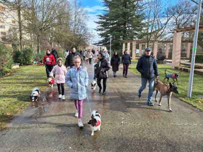 Tercera edición en Almazán del desfile más canino de la provincia