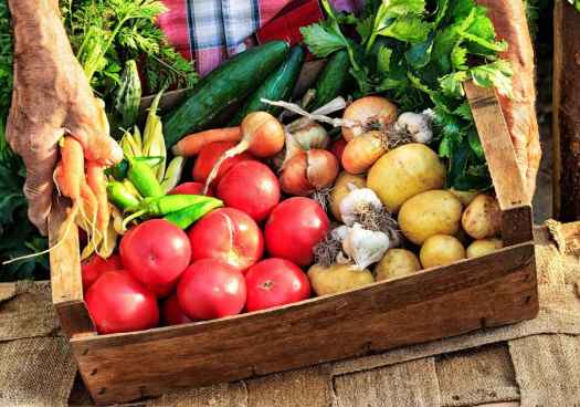 La producción ecológica en España bate un récord de exportaciones en 2024 