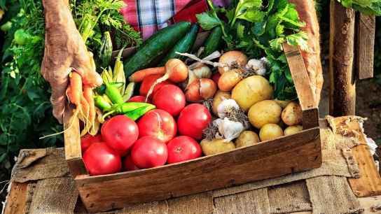 La producción ecológica en España bate un récord de exportaciones en 2024 