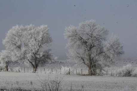 Soria amanece con niebla engelante