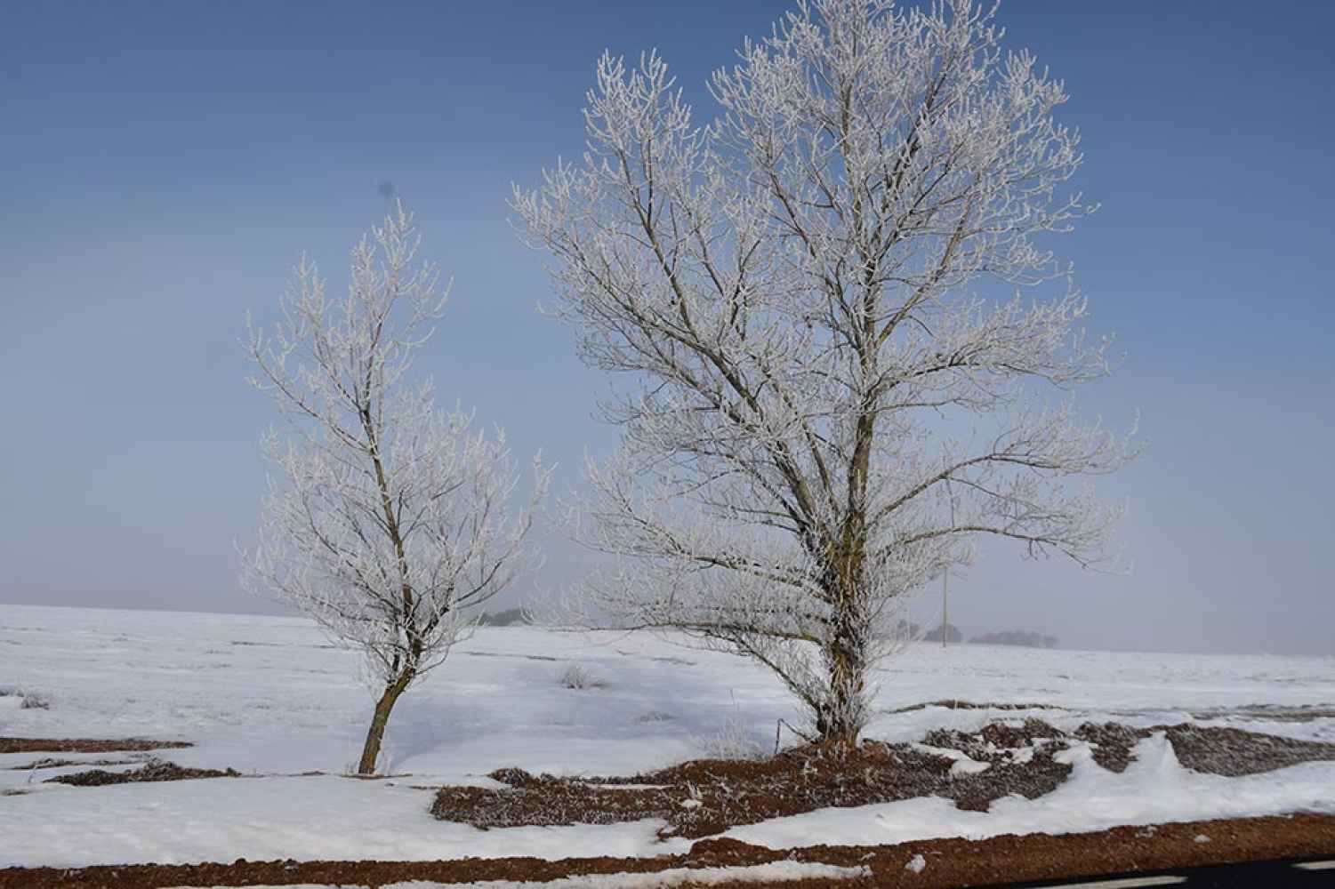 El campo de Gómara, con niebla engelante