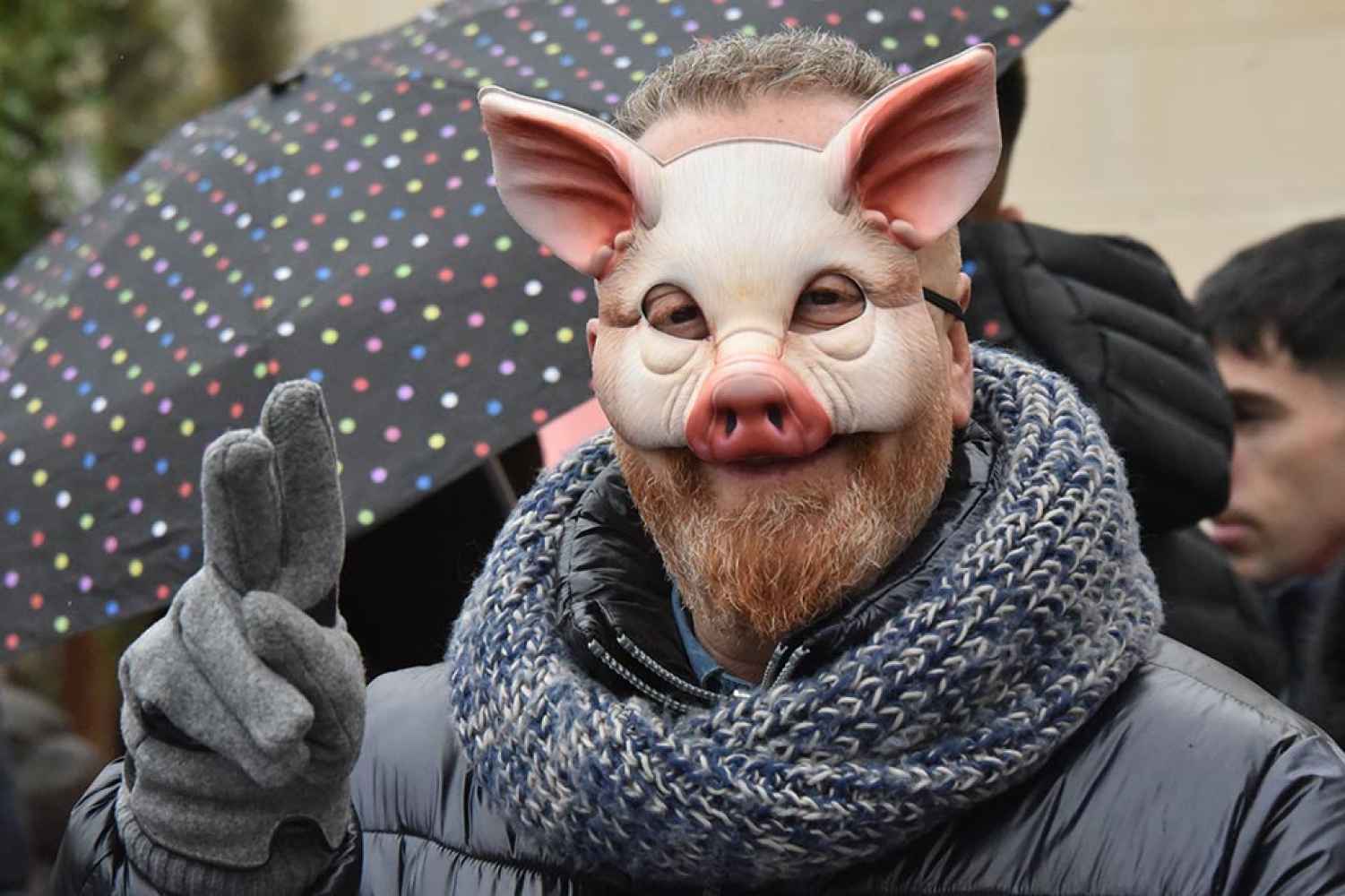 Otro año como es de ley, hace matanza el Virrey...