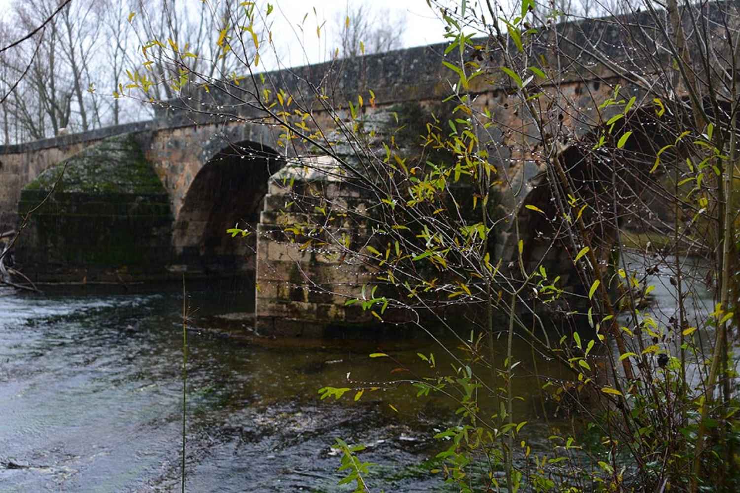 Parada en el puente medieval de Andaluz