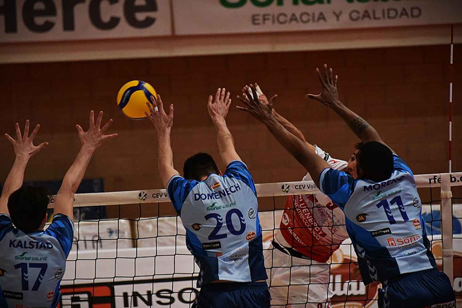 Grupo Herce Soria recibe al histórico Piacenza italiano en la Copa CEV