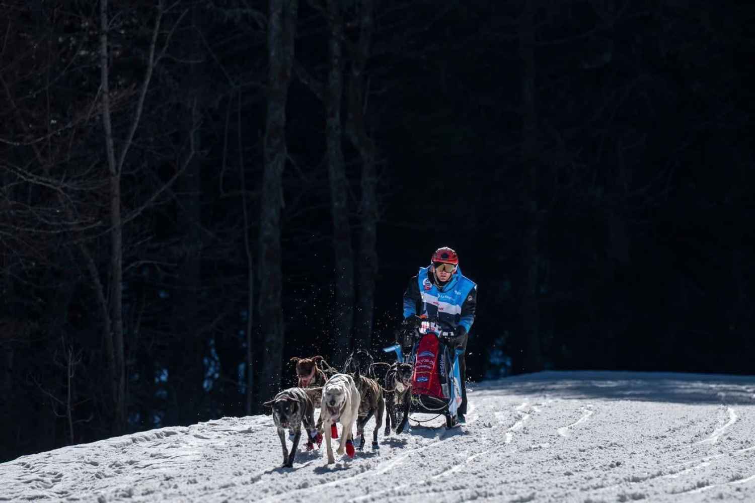 El musher olvegueño Javier Ruiz, plata en la Grande Odysseé