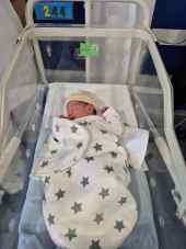 Emir, primer bebé soriano de 2026 