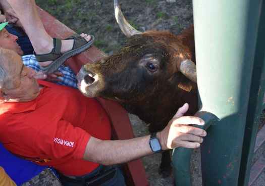 Así fue junio de 2025, en fotos, en Soria