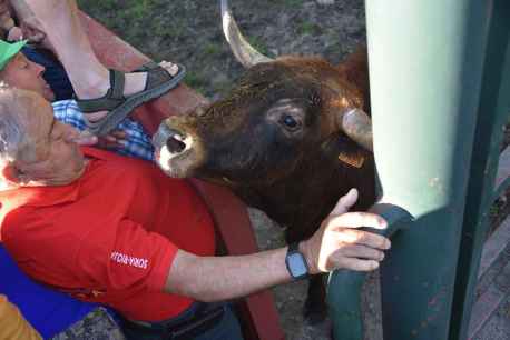 Así fue junio de 2025, en fotos, en Soria