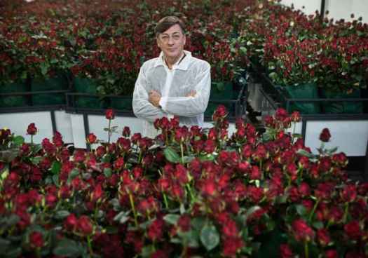 El entierro de la sardina