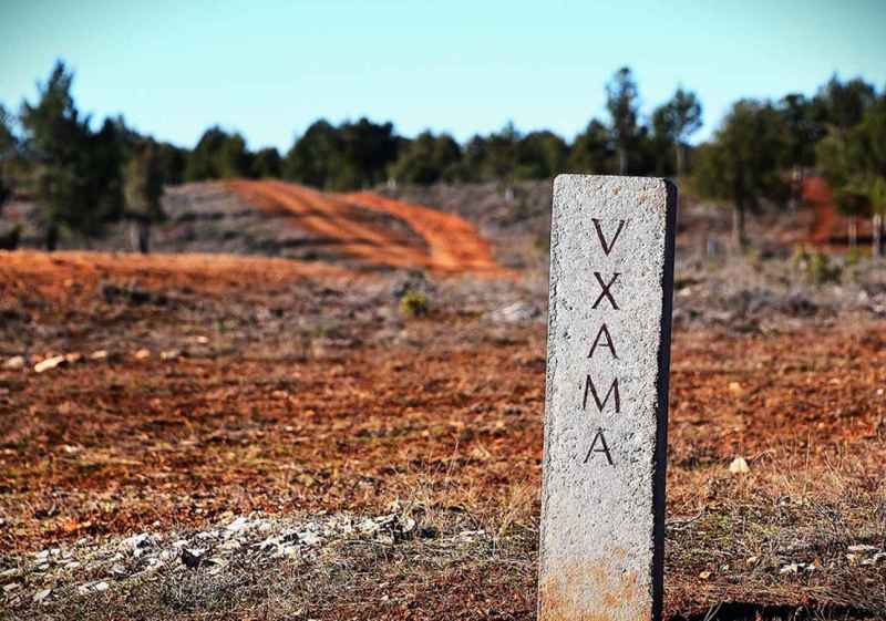 Un paseo por la calzada romana entre Numancia y Uxama