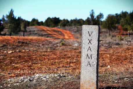 Un paseo por la calzada romana entre Numancia y Uxama