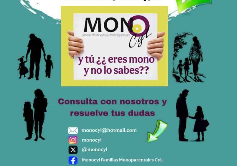 MonoCyL: Y tú ¿Eres mono y no lo sabes?