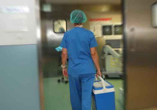 Castilla y León suma 130 donantes de órganos en 2025