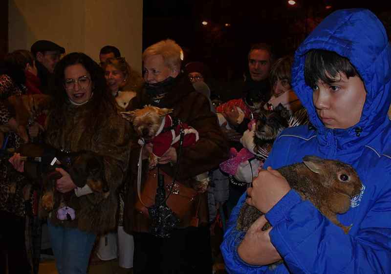Bendición en Soria, en festividad de San Antón, de los animales de compañía 