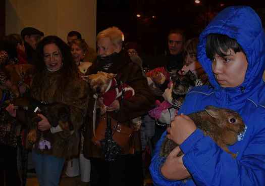 Bendición en Soria, en festividad de San Antón, de los animales de compañía 