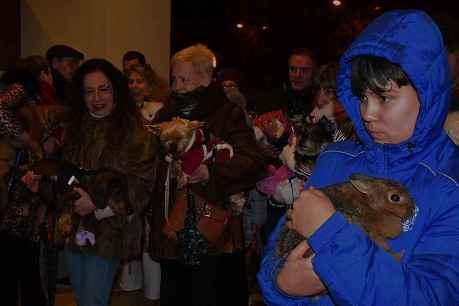 Bendición en Soria, en festividad de San Antón, de los animales de compañía 