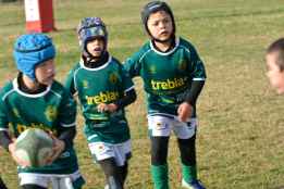 La Escuela Trebia de Rugby participa en Aranda de Duero en multitudinaria jornada de escuelas