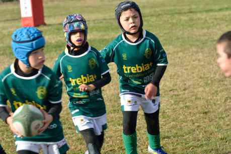 La Escuela Trebia de Rugby participa en Aranda de Duero en multitudinaria jornada de escuelas