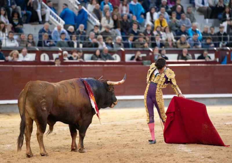 “Jarocho” protagoniza las III Jornadas Culturales Taurinas de El Burgo de Osma