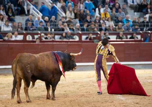 “Jarocho” protagoniza las III Jornadas Culturales Taurinas de El Burgo de Osma