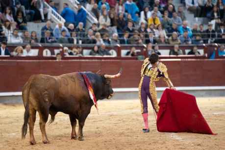 “Jarocho” protagoniza las III Jornadas Culturales Taurinas de El Burgo de Osma