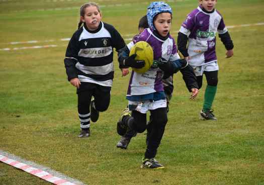 La Escuela de Rugby Caja Rural de Soria suma experiencias en Aranda