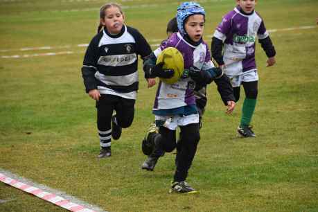 La Escuela de Rugby Caja Rural de Soria suma experiencias en Aranda