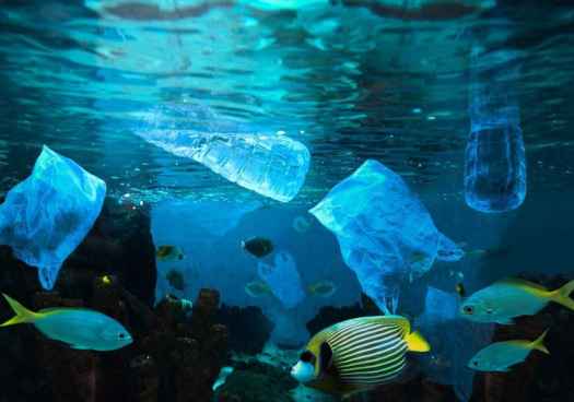 Mares y desiertos; convertidos en vertederos