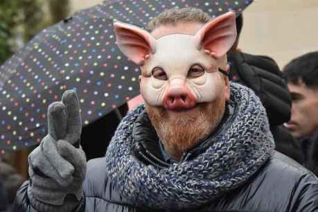 Otro año como es de ley, hace matanza el Virrey...